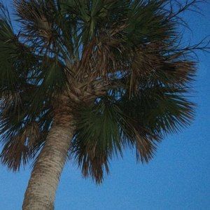 Meet your Posher, Lynne